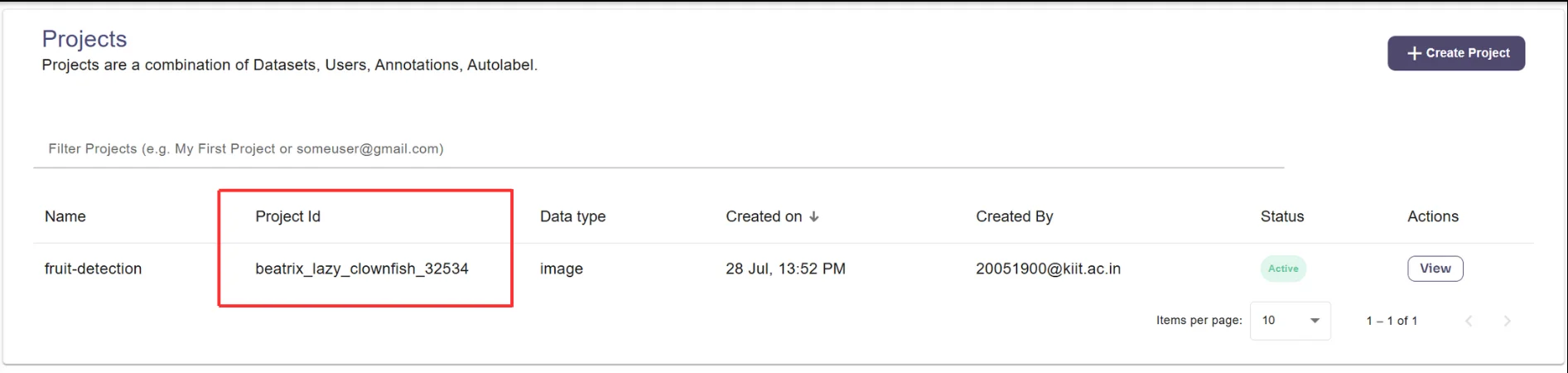 Project ID in URL