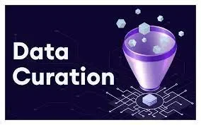 Data Curation