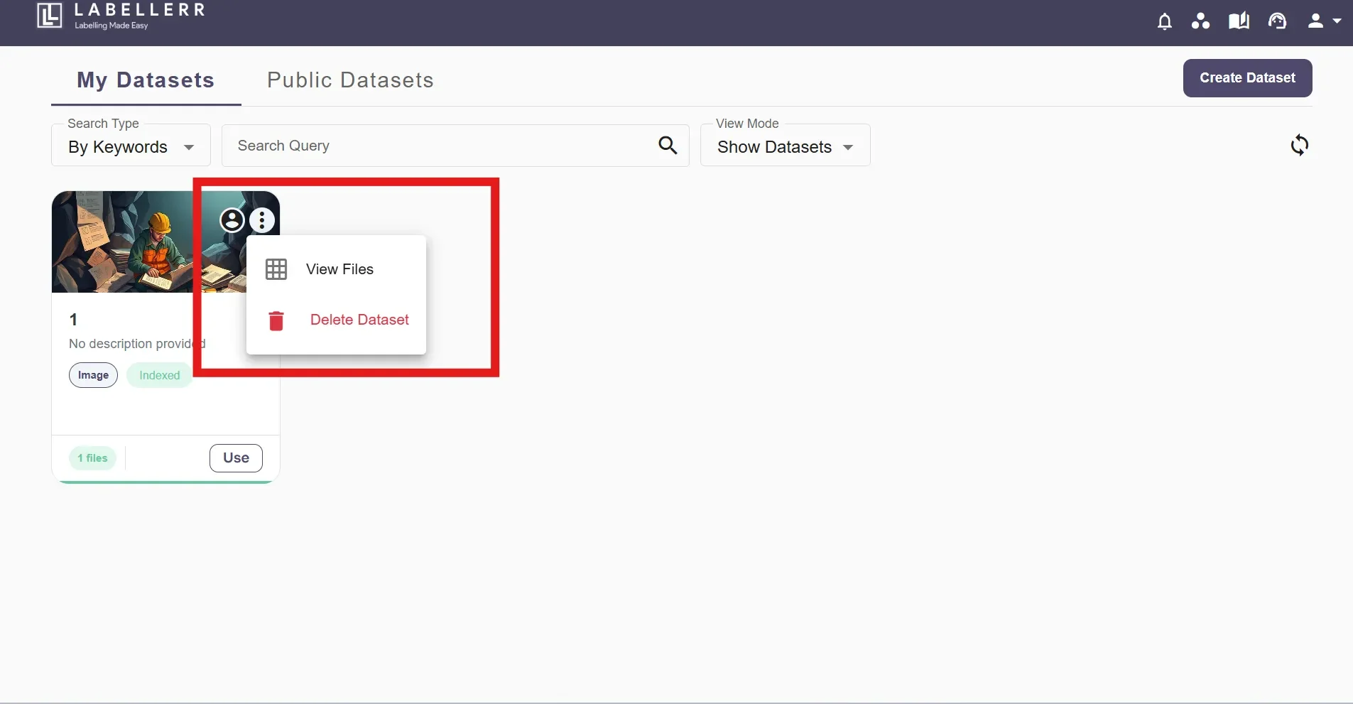Dataset management interface