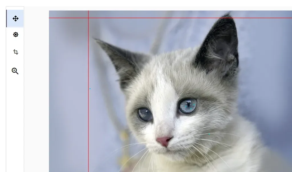 Image Editing Tools