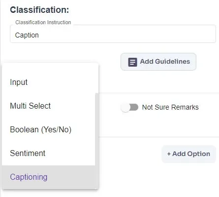 Text Captioning Classification Setup
