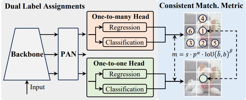 Model Architecture