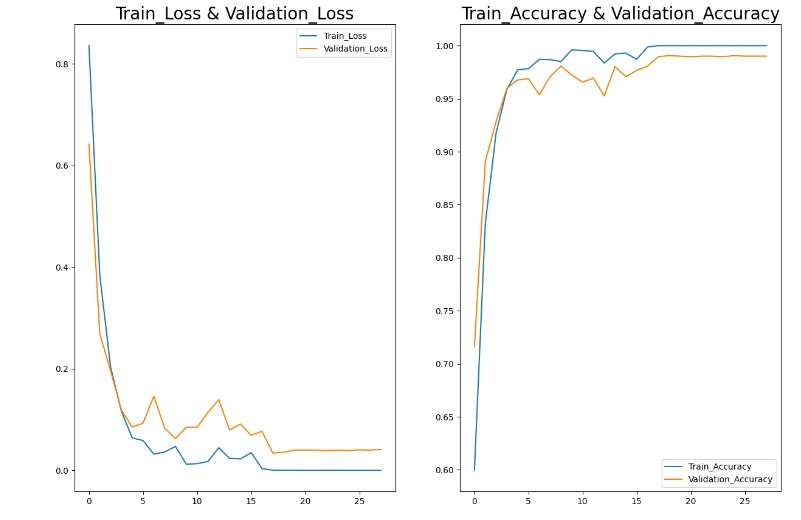 epochs and loss plot