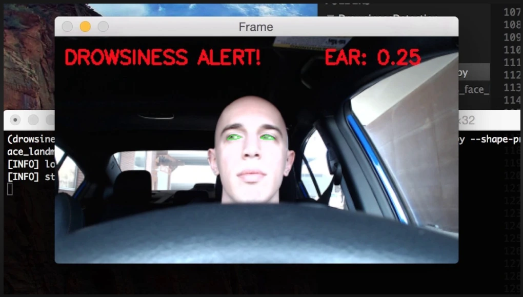 Drowsiness Detection in Automobile