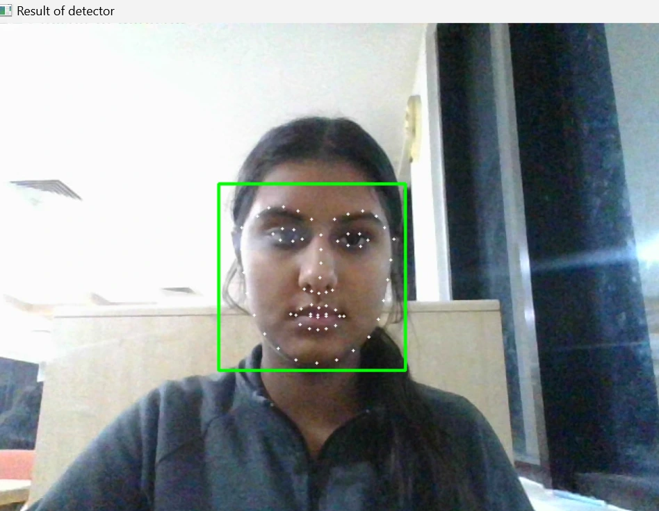 Face and Landmark Detection