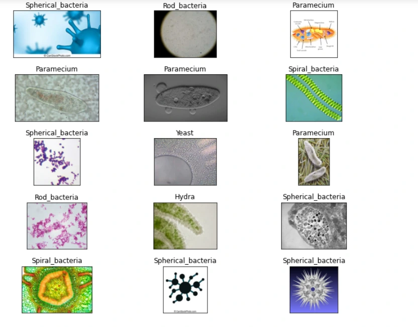 Plotting Microorganisms dataset