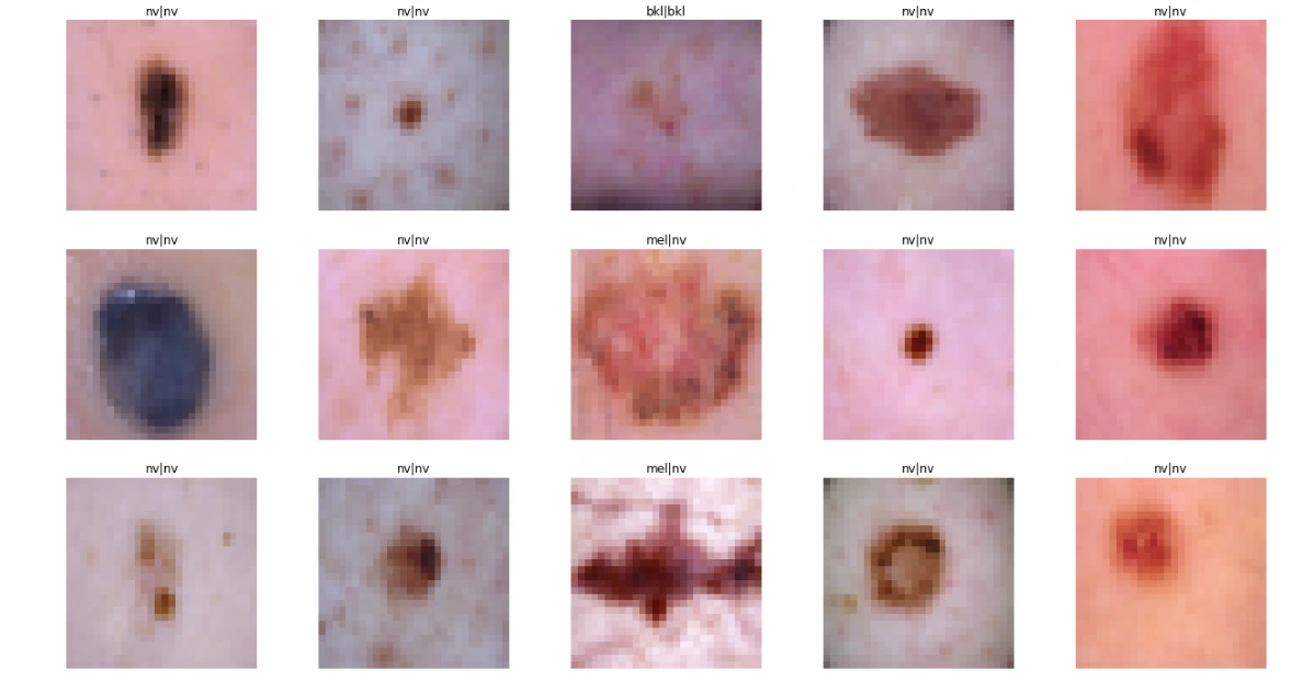 Testing Skin Cancer Model (Original Data)