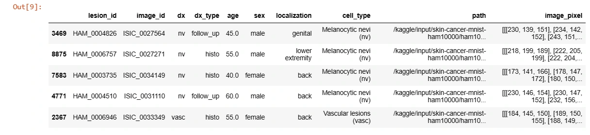 Dataset Sample