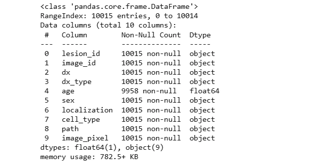 Dataset Info