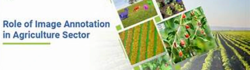 Agriculture Annotation