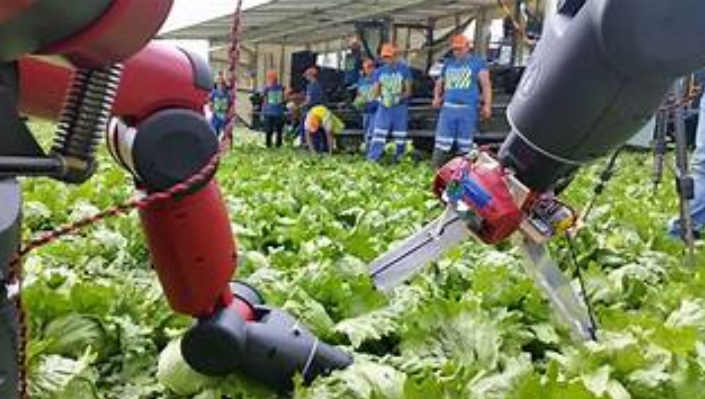Agriculture Robotics