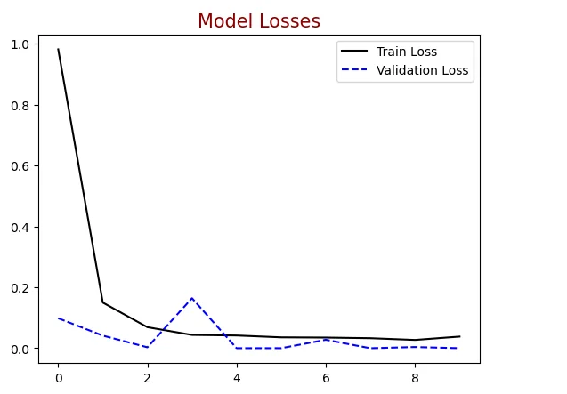 model losses