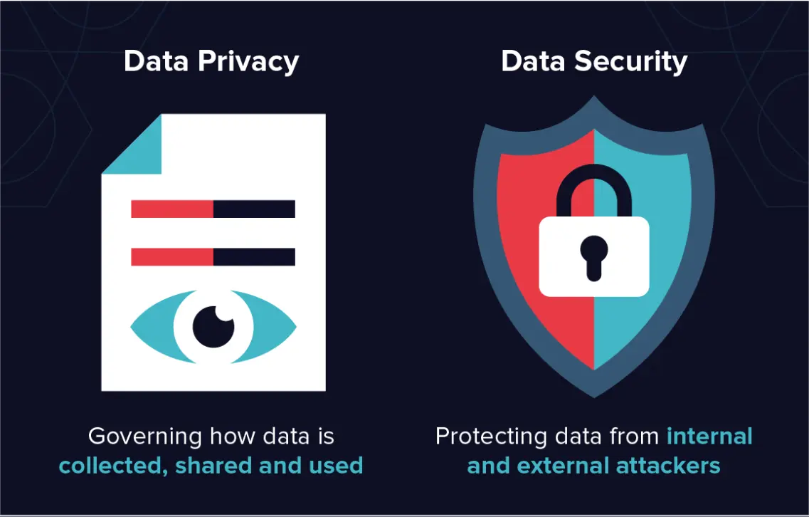 			Figure: Data Privacy and Data Security