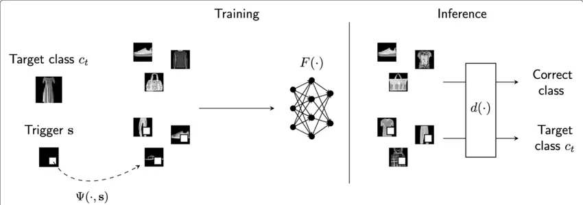 			Figure: Model BackDooring