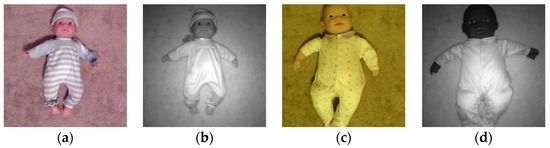 3D Baby Creation