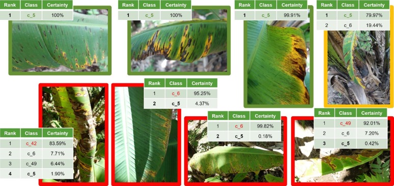 Pest Management Classification