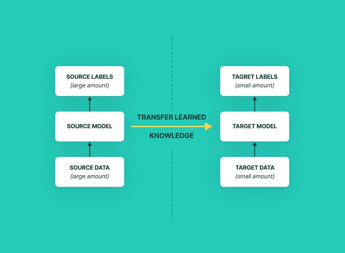 Transfer Learning