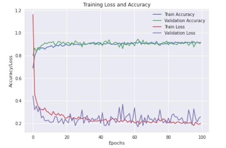 Loss and Accuracy plot
