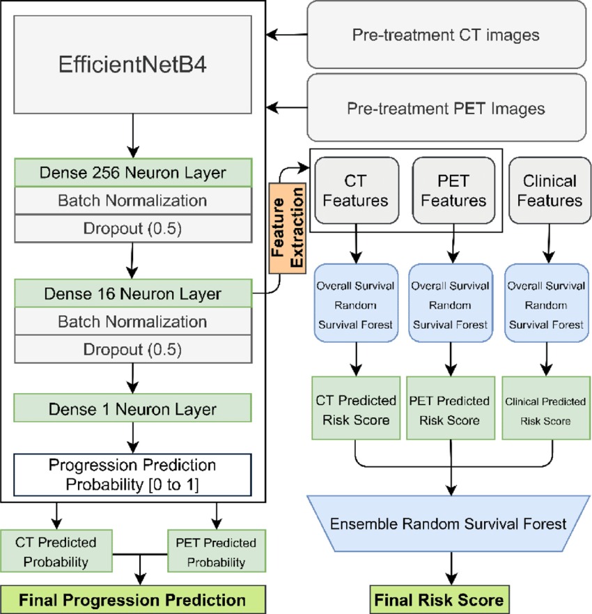 EfficientNetb4 architecture