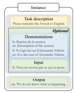  Instance Format