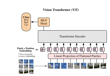 Figure: Architecture of Vision Transformer