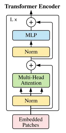	  Figure: MLP head for final classification 