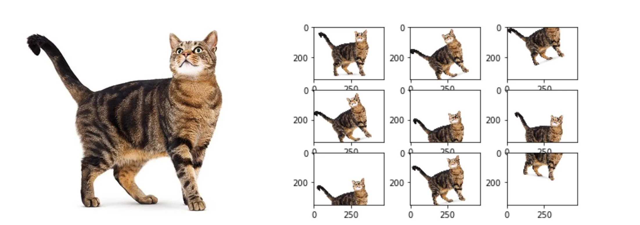 data augmentation