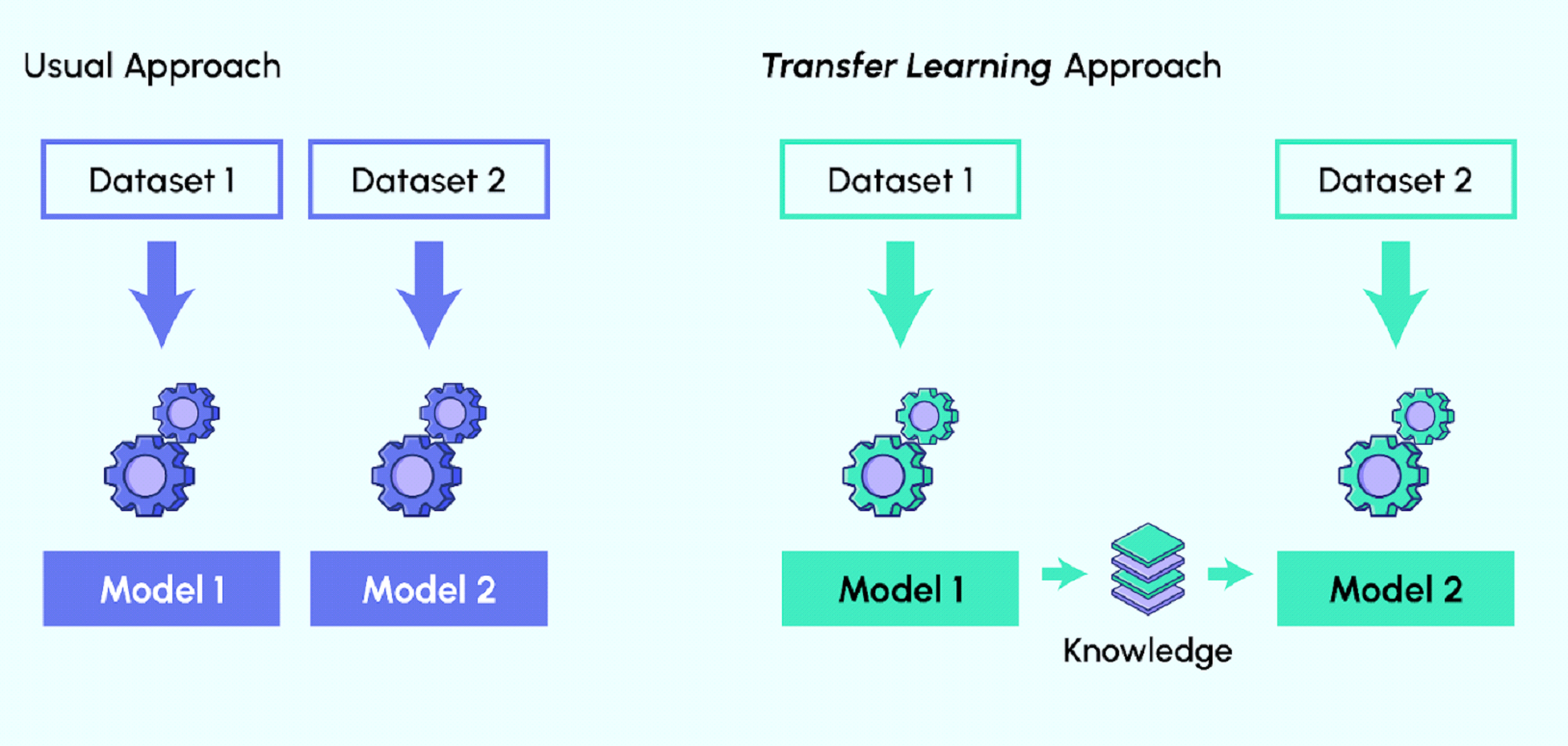 Transfer Learning