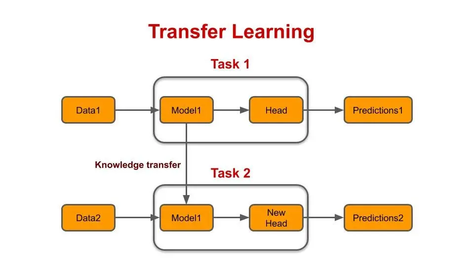 Figure: Transfer Learning