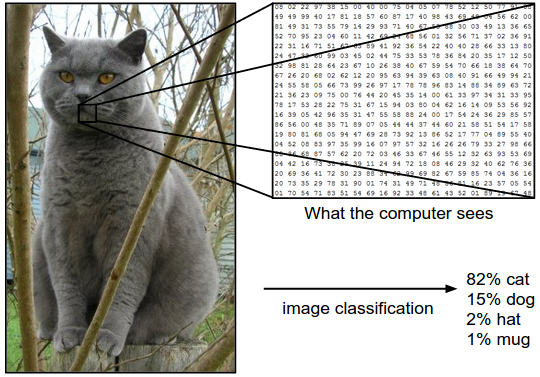 Image Classification