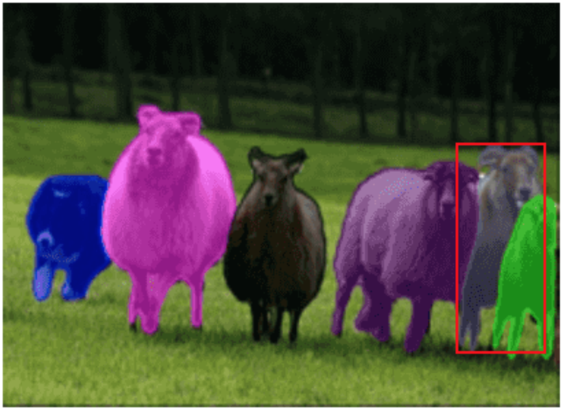 Instance Segmentation