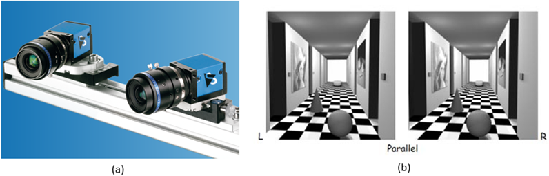 (a) Stereo Camera System (b) Stereo Images