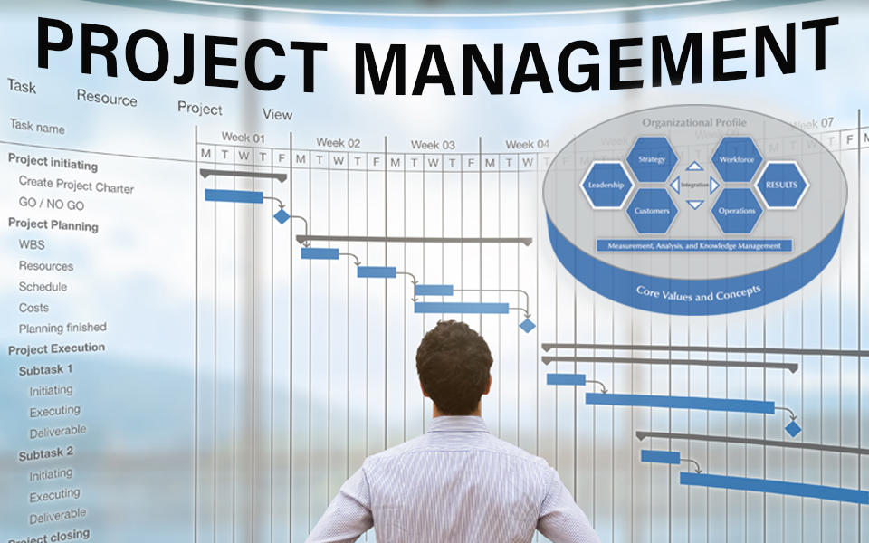 Project and team management