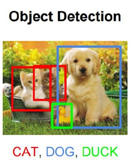 Object Detection